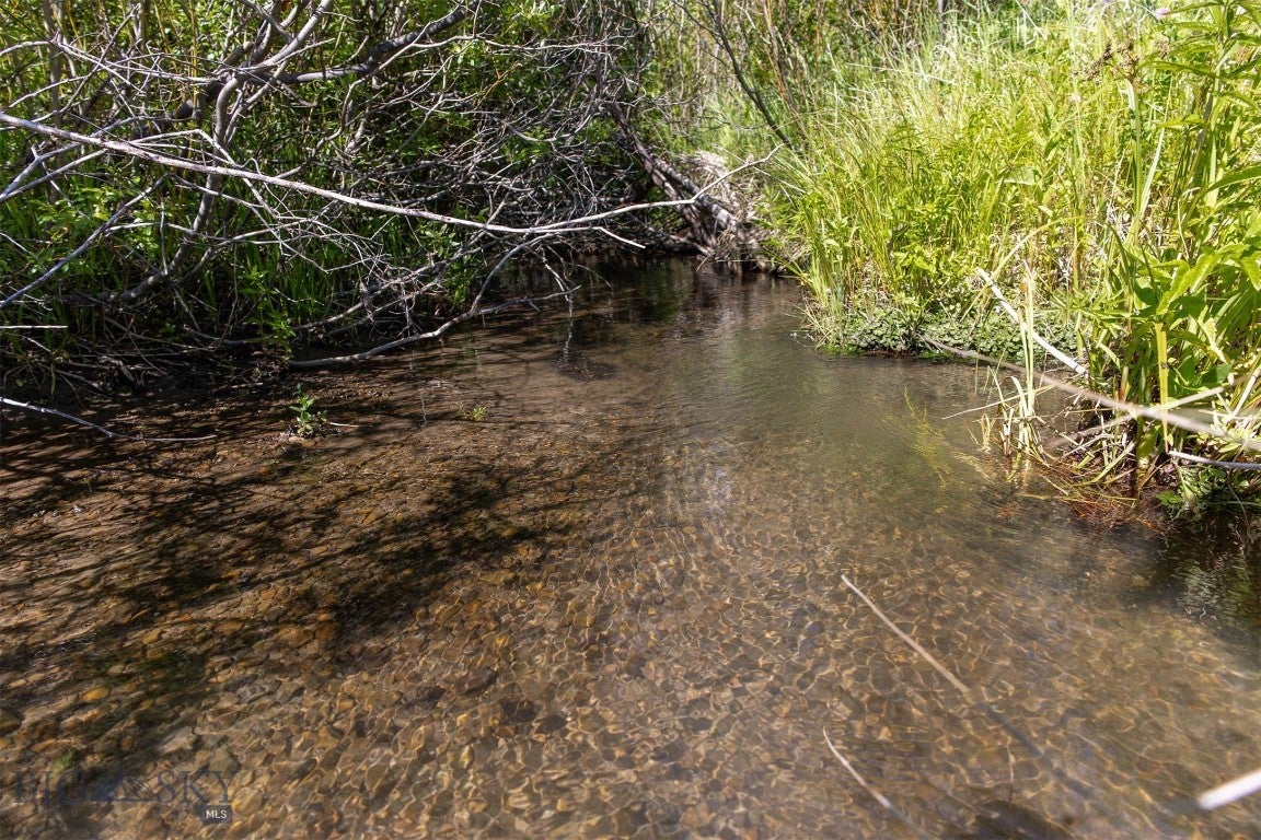 NHN Skunk Creek