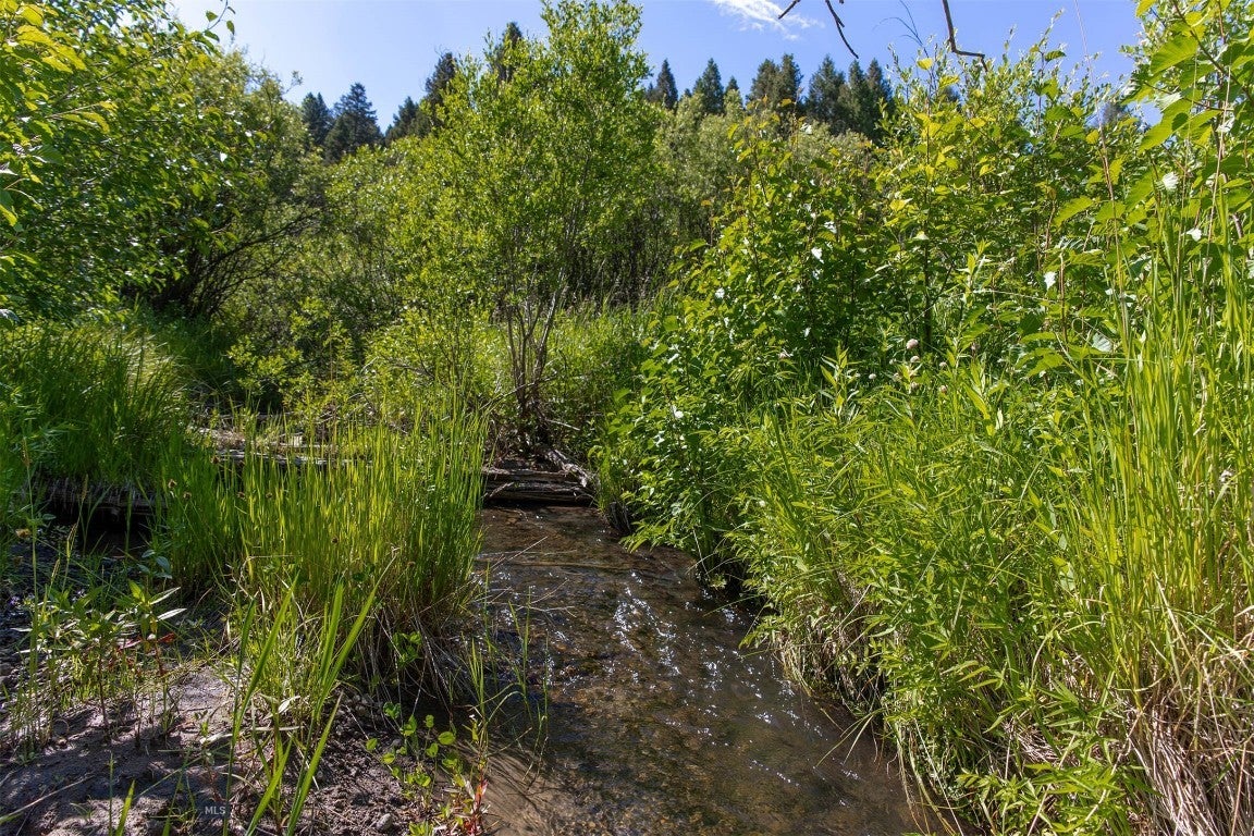 NHN Skunk Creek