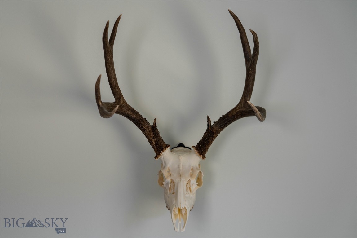 Mountain Brook - Residential