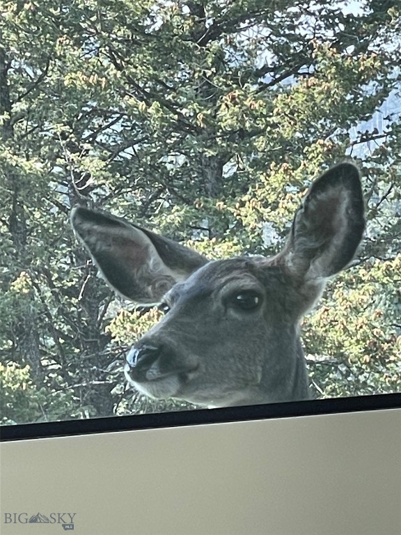 Mountain Brook - Residential