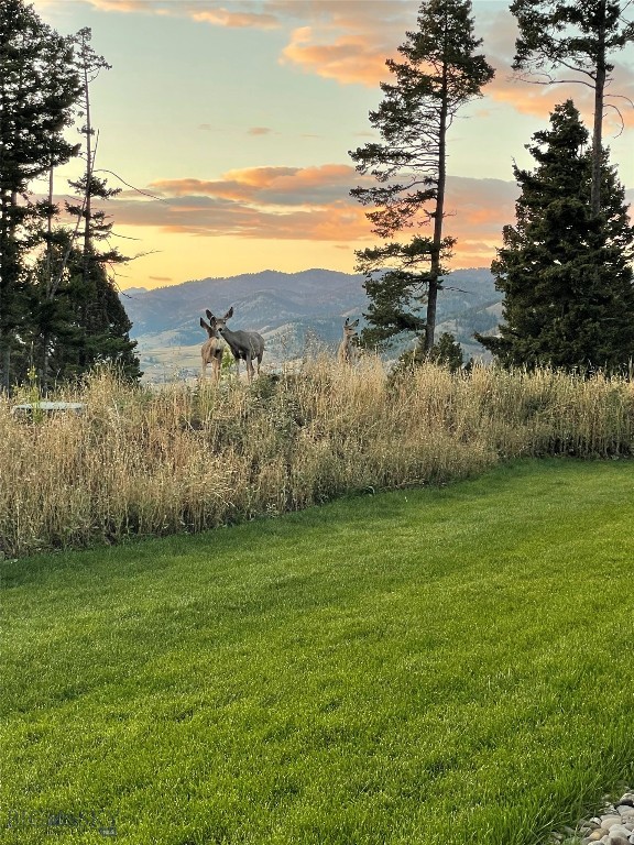 Mountain Brook - Residential