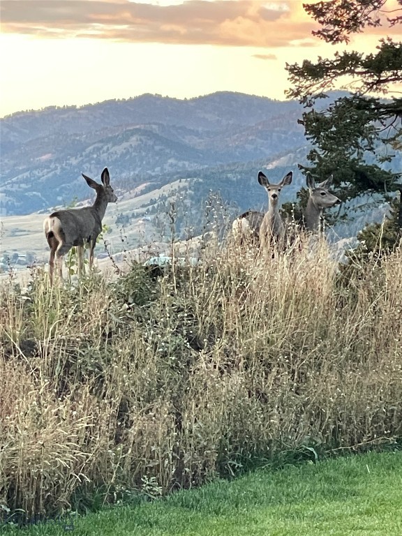 Mountain Brook - Residential
