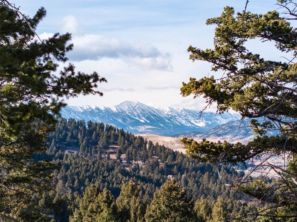 Mountain Brook - Residential