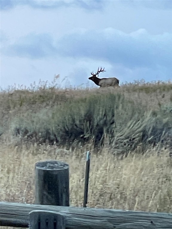 Mountain Brook - Residential