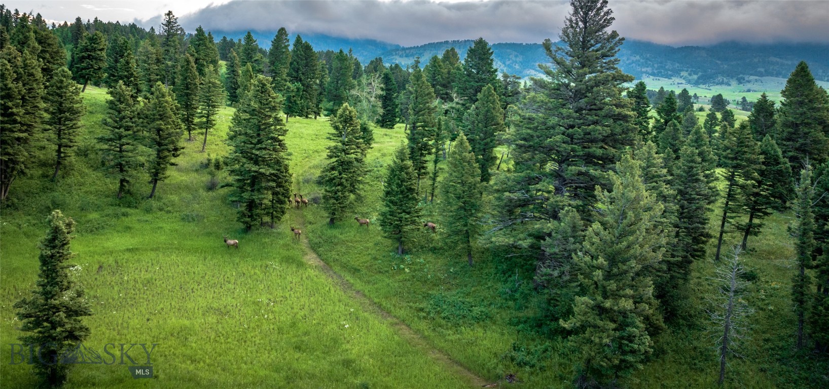 North Pass Ranches - Land