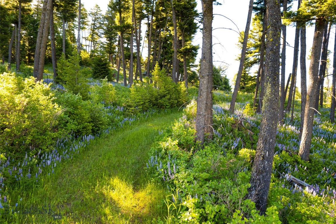 North Pass Ranches - Land