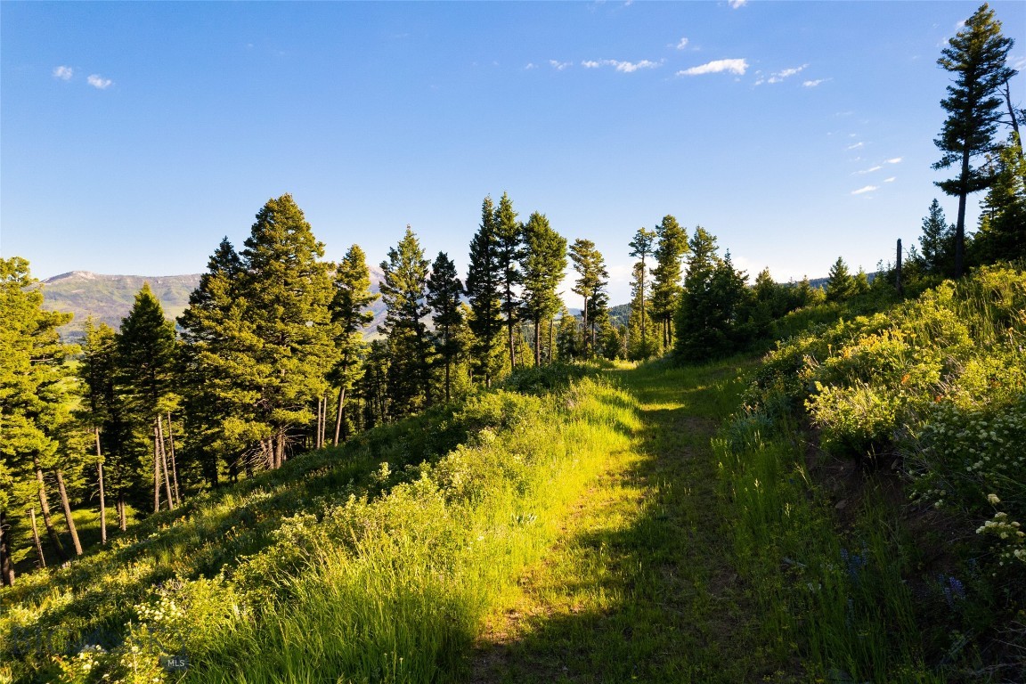 North Pass Ranches - Land