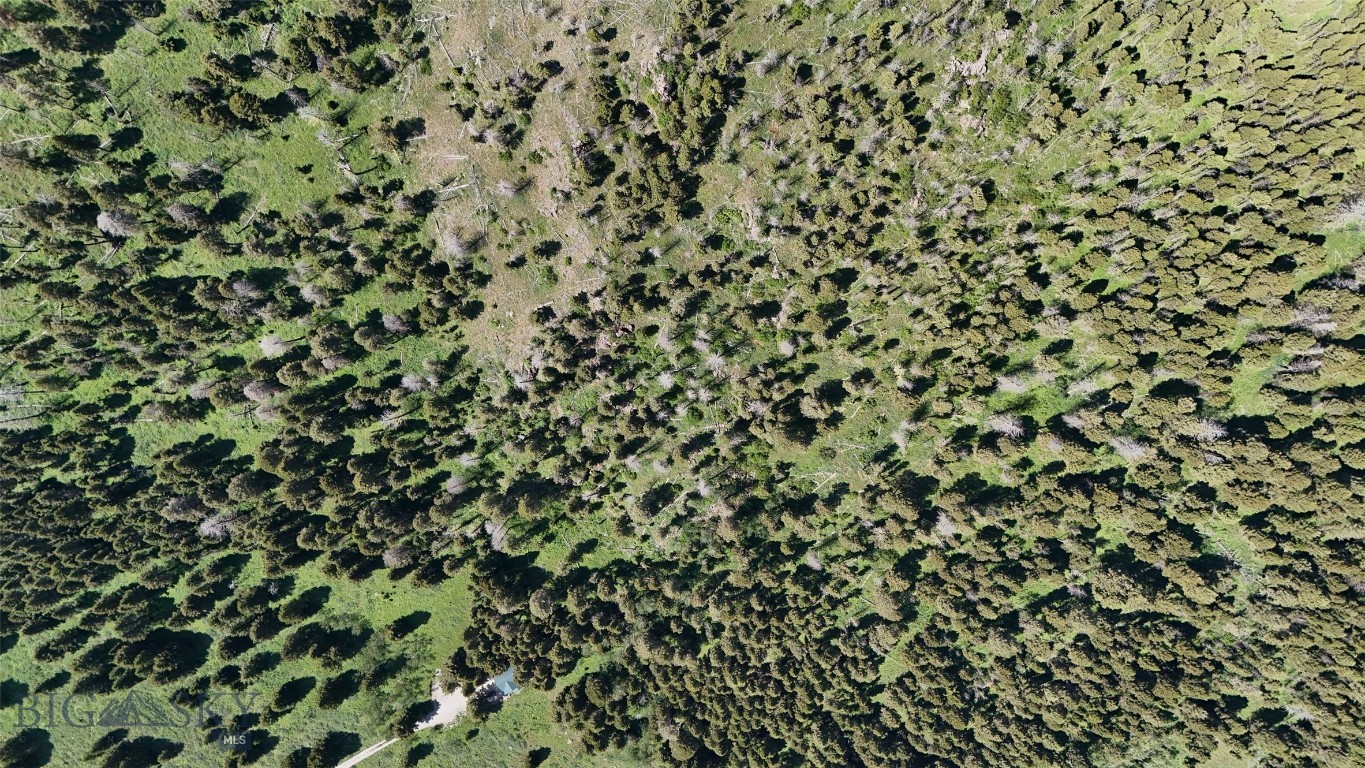 Buffalo Lance Ranch - Land