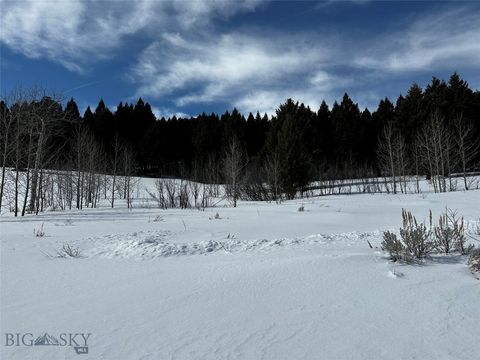 Parcel 23 Buffalo Lance Ranch Cameron MT 59720