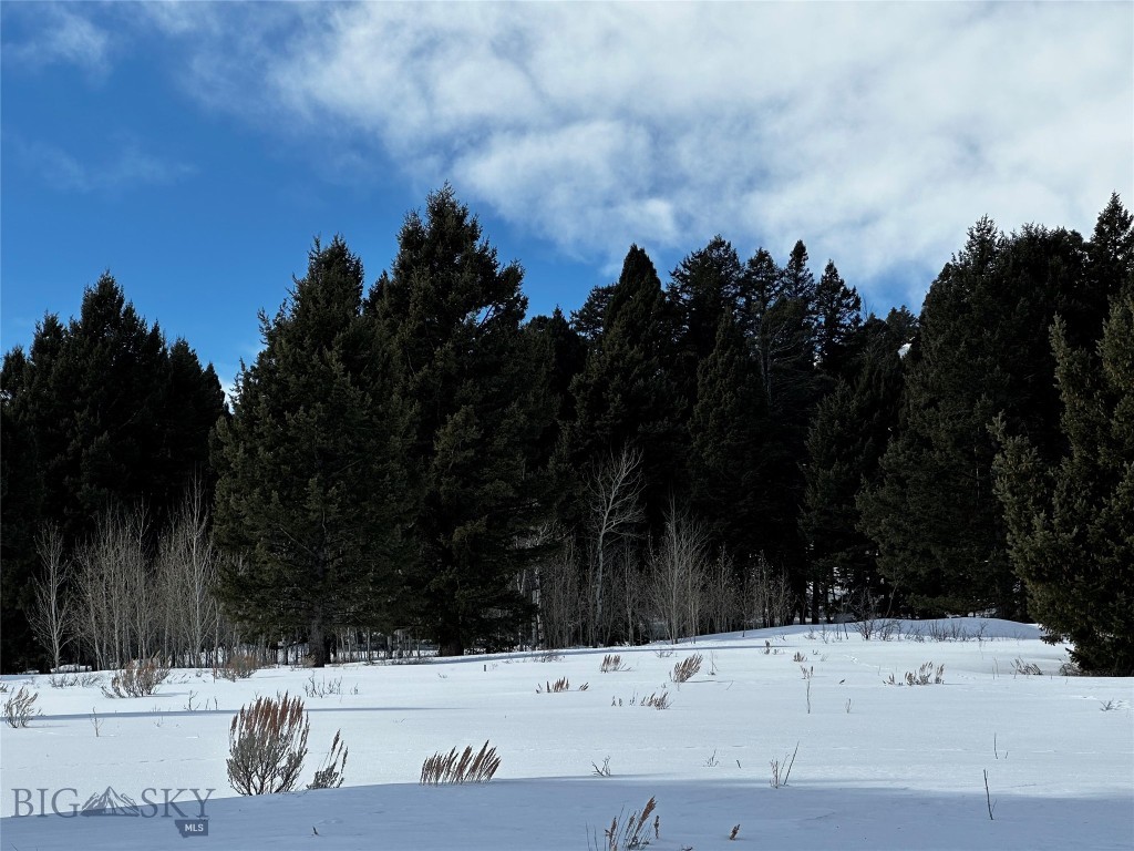 Buffalo Lance Ranch - Land