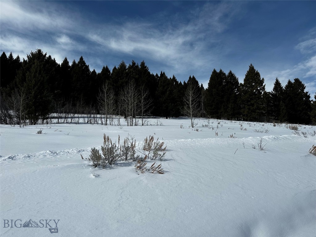 Buffalo Lance Ranch - Land