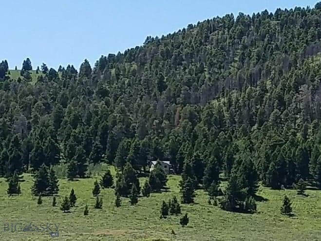 Buffalo Lance Ranch, Parcel 23 is a gem! It borders National Forest on the west (upper end) side of the lot. Power is available from the NE corner between lots 23 and 25. There are several ideal building sites staked out. The covenants have expired, and there is no county zoning, so no restrictions exist. It borders an outstanding hunting area (owner claims about 2,500 head of elk come over Horn Mtn to this area every year, in the fall). The property is centrally located with lots of scenic activities & many places to explore ...it is 2 hours from Bozeman, 1 hour from Ennis, 35 minutes from the West Gate of Yellowstone National Park and approx. 2 hours from the beginning of The Grand Tetons National Park. It is only a few miles from the world-famous Blue Ribbon trout waters of the Madison River, plus Hebgen, Earthquake, Cliff, Wade, Elk and Hidden Lakes are all nearby, as well as Henry's Lake in Idaho. The property is just 3 miles North of the Idaho-Montana border, in an "almost" end-of-the-road, peaceful area. The Seller is offering Parcels 23, 24 and 25 individually, in any combination - or all together as a package, for $1,573,000.