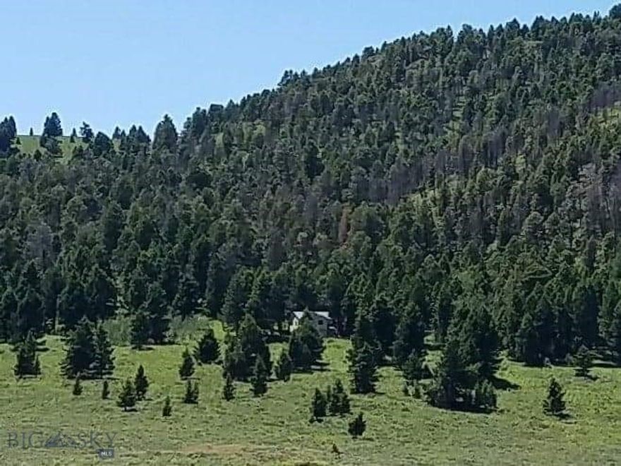 Buffalo Lance Ranch, Parcel 23 is a gem! It borders National Forest on the west (upper end) side of the lot. Power is available from the NE corner between lots 23 and 25. There are several ideal building sites staked out.  The covenants have expired, and there is no county zoning, so no restrictions exist. It borders an outstanding hunting area (owner claims about 2,500 head of elk come over Horn Mtn to this area every year, in the fall).  The property is centrally located with lots of scenic activities & many places to explore ...it is 2 hours from Bozeman, 1 hour from Ennis, 35 minutes from the West Gate of Yellowstone National Park and approx. 2 hours from the beginning of The Grand Tetons National Park. It is only a few miles from the world-famous Blue Ribbon trout waters of the Madison River, plus Hebgen, Earthquake, Cliff, Wade, Elk and Hidden Lakes are all nearby, as well as Henry's Lake in Idaho. The property is just 3 miles North of the Idaho-Montana border, in an "almost" end-of-the-road, peaceful area. The Seller is offering Parcels 23, 24 and 25 individually, in any combination - or all together as a package, for $1,573,000.