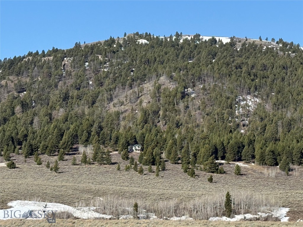 Buffalo Lance Ranch - Land