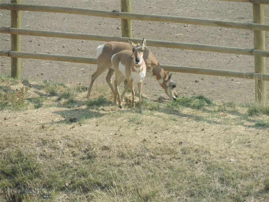 Ennis, Montana 59729, United States, 3 Bedrooms Bedrooms, ,3 BathroomsBathrooms,Residential,Contingent,68281