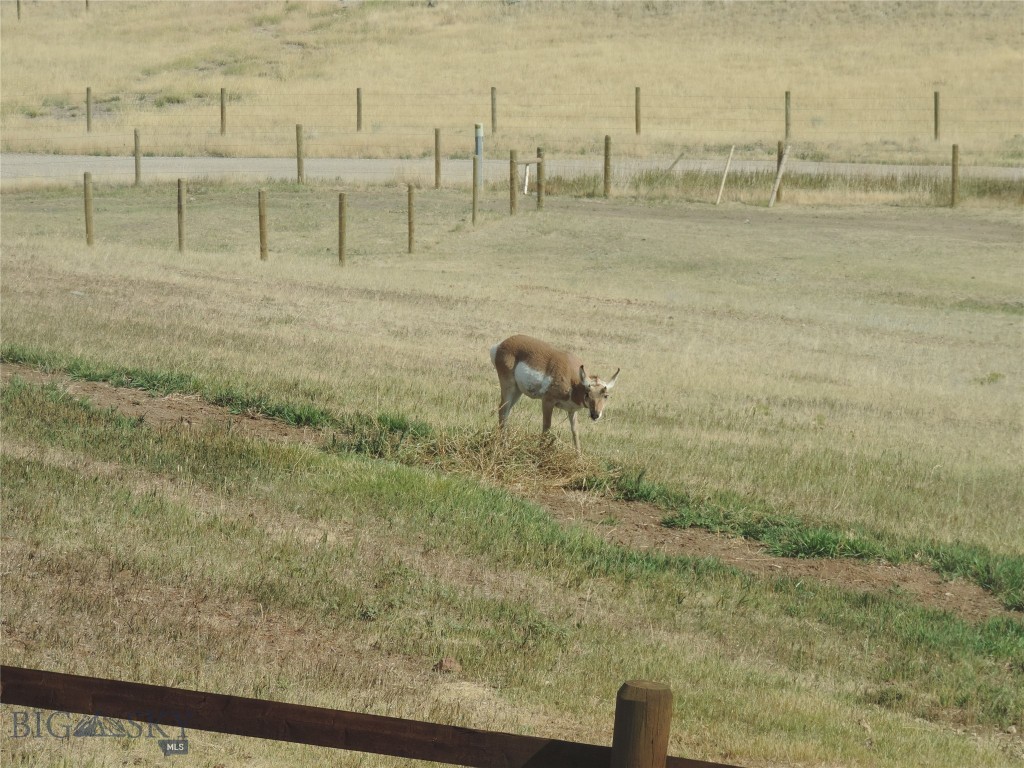 Ennis, Montana 59729, United States, 3 Bedrooms Bedrooms, ,3 BathroomsBathrooms,Residential,Contingent,68281