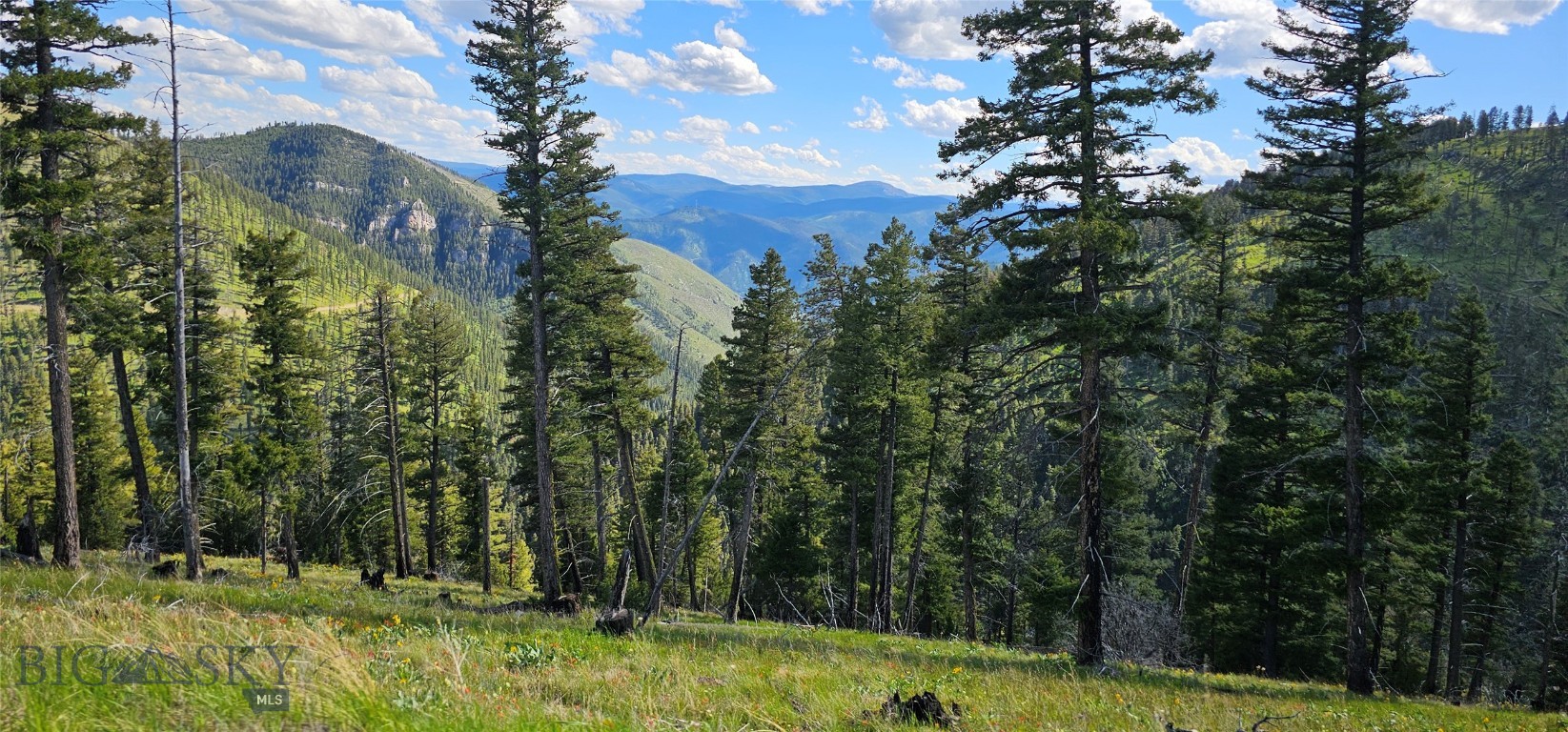 4 Tract Garnet Range