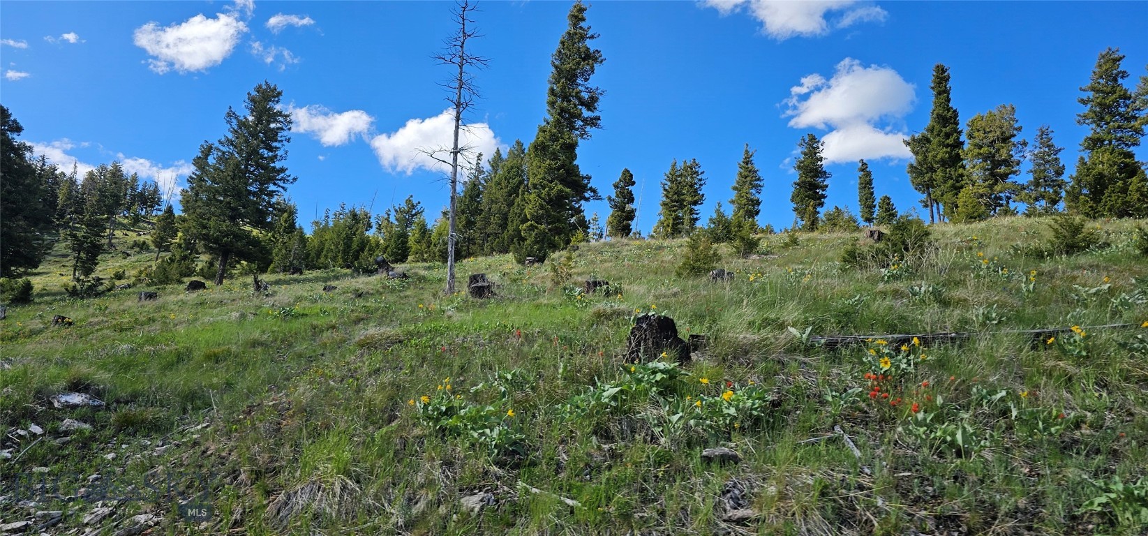 4 Tract Garnet Range