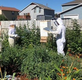 Armstrong Addition - Residential