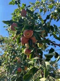 Armstrong Addition - Residential