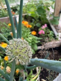 Armstrong Addition - Residential