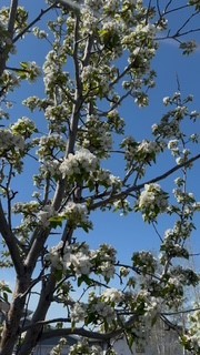 Armstrong Addition - Residential