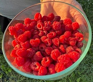 Armstrong Addition - Residential