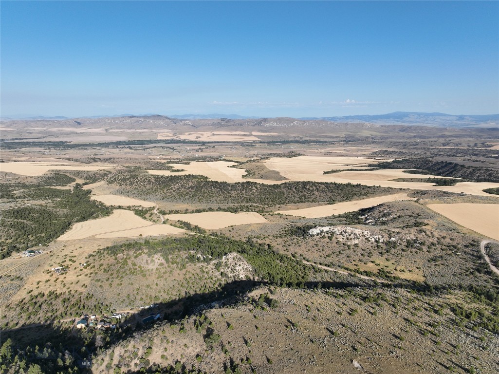 Ponderosa Pines - Land