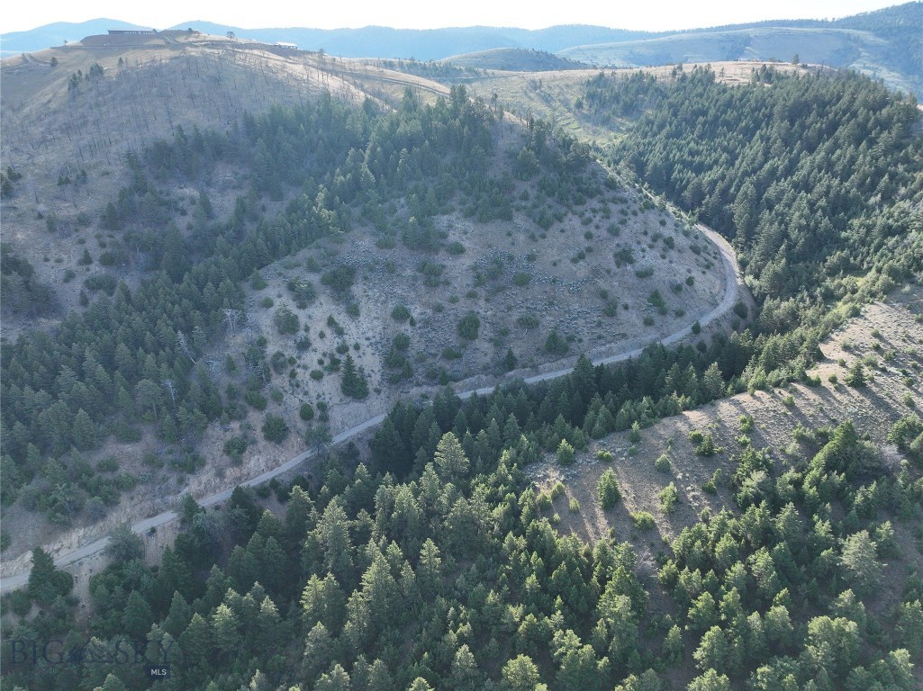 Ponderosa Pines - Land