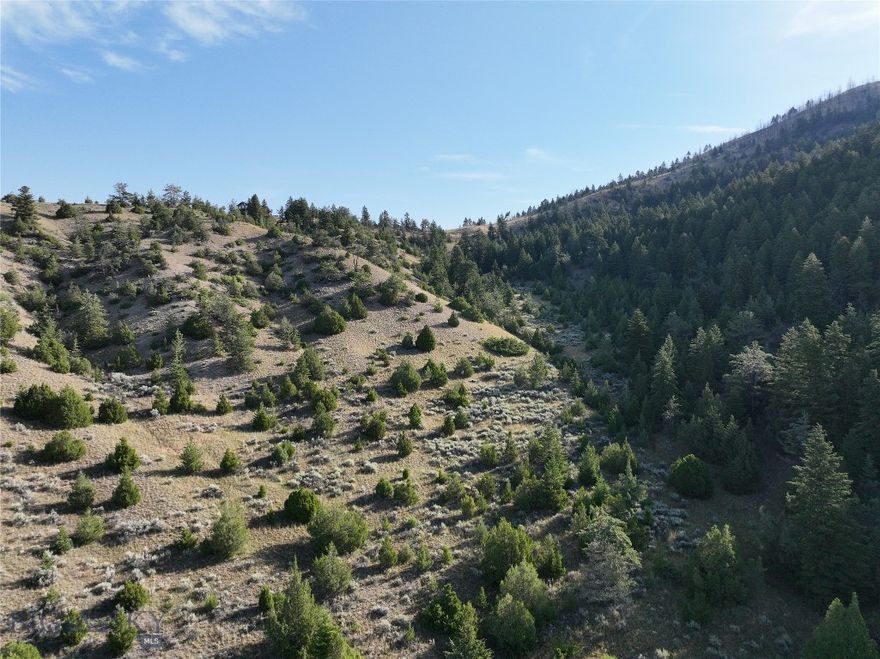 Don’t miss this amazing opportunity to own 10 acres in the heart of Montana's Wild West. This property boasts stunning views of the surrounding valley and features a combination of timber and meadows, making it an ideal spot for off-grid living. Start your next Montana adventure by scheduling a showing or reaching out to your favorite real estate agent!