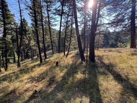 Photo of 93 Saddle Mountain Drive, Clancy, MT 59634 (MLS # 414498)