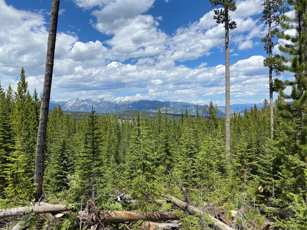 Bear Paw Ponds - Land
