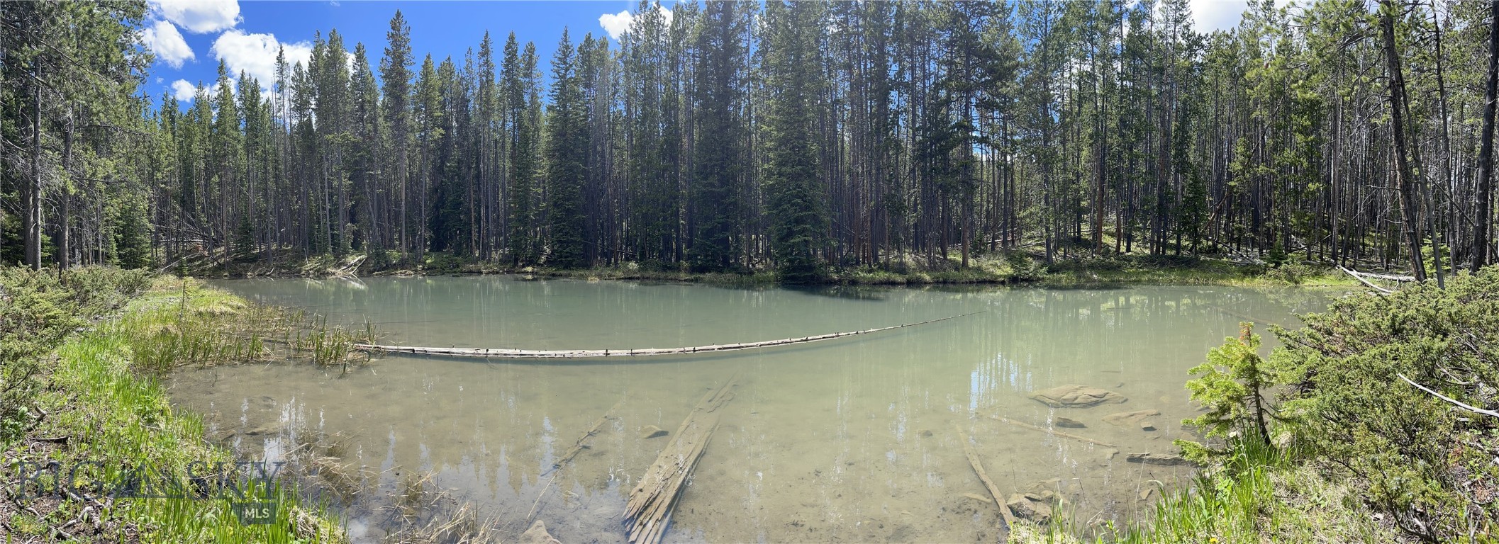 Bear Paw Ponds - Land