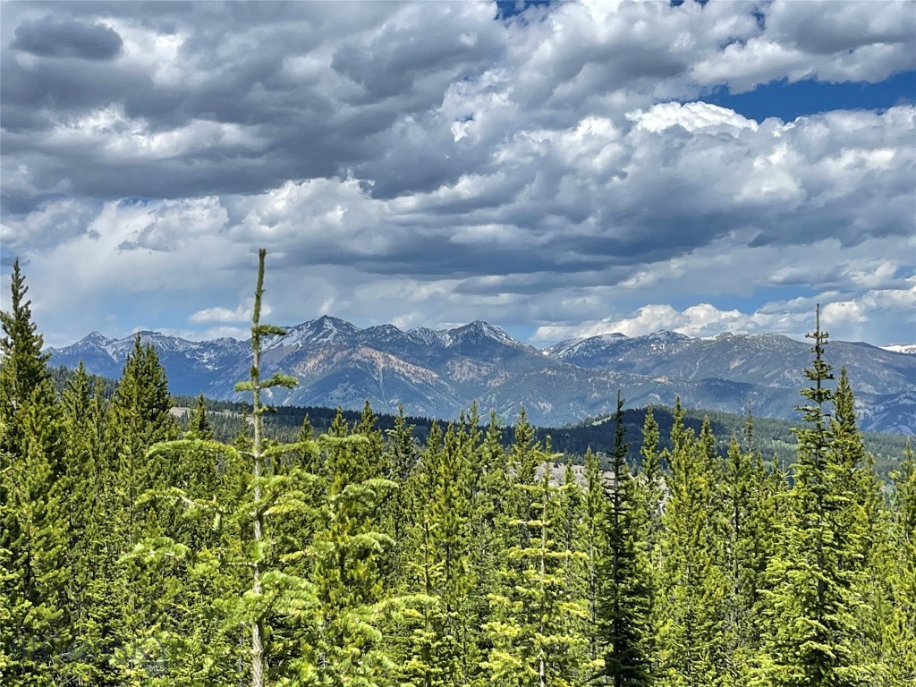 Bear Paw Ponds - Land