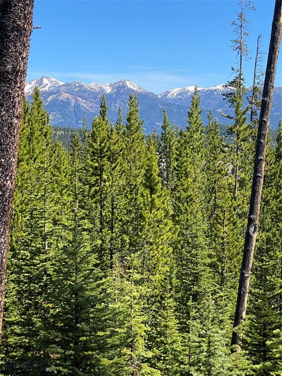 Bear Paw Ponds - Land