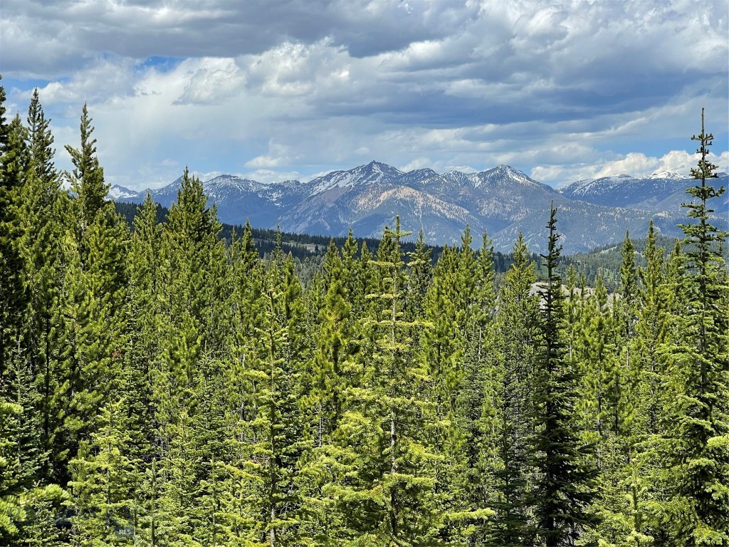 Bear Paw Ponds - Land