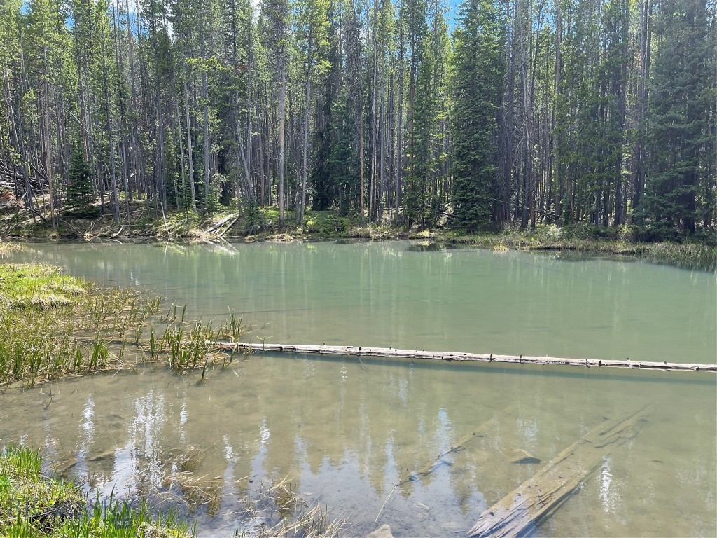 Bear Paw Ponds - Land