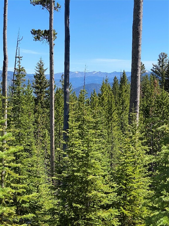 Bear Paw Ponds - Land