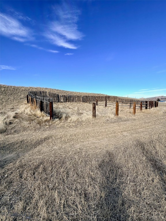 Ponderosa Pines - Land