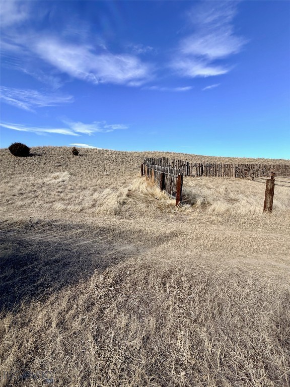 Ponderosa Pines - Land