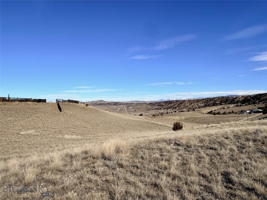 Ponderosa Pines - Land