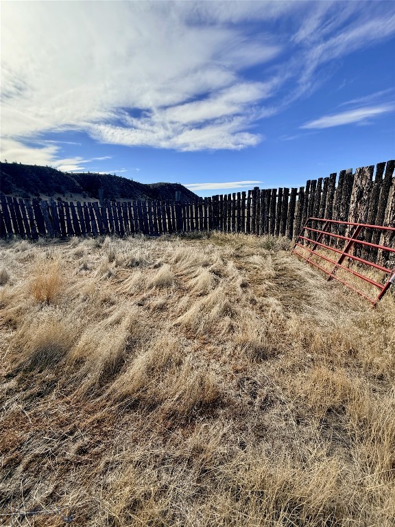 Ponderosa Pines - Land