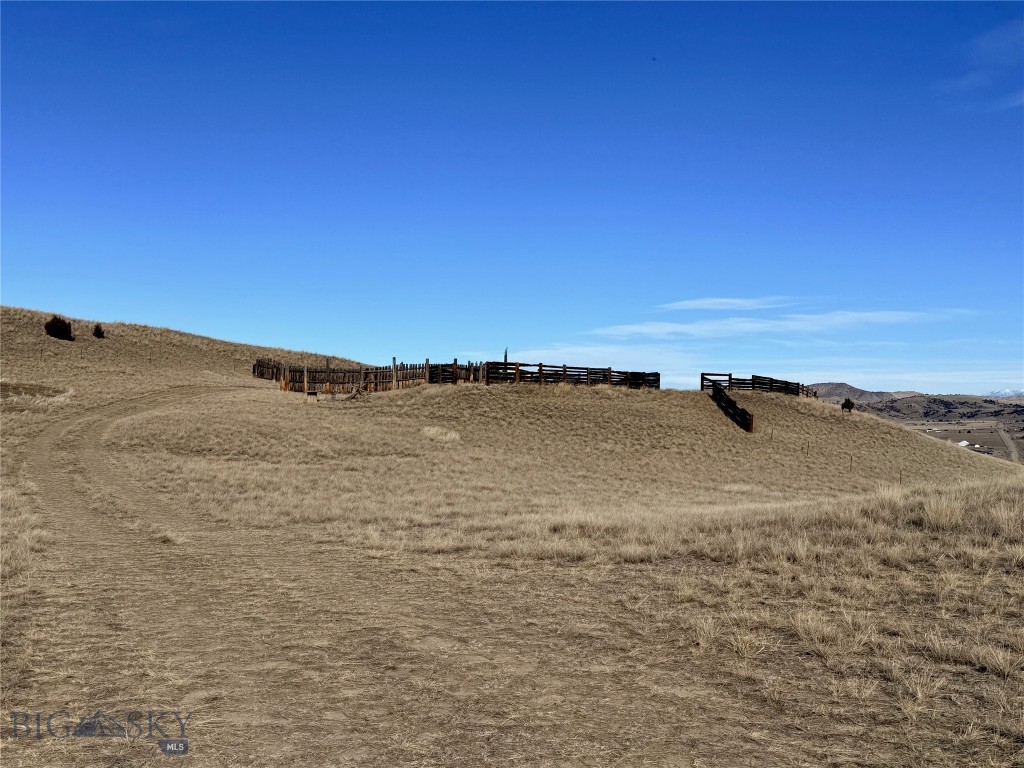 Ponderosa Pines - Land