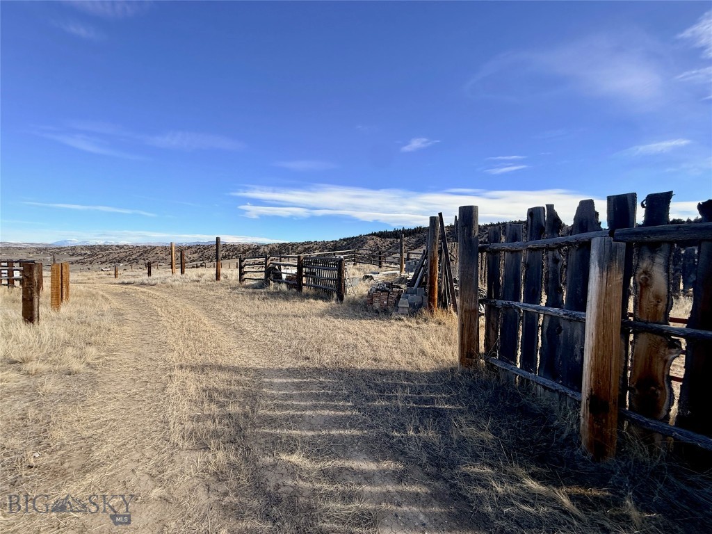 Ponderosa Pines - Land