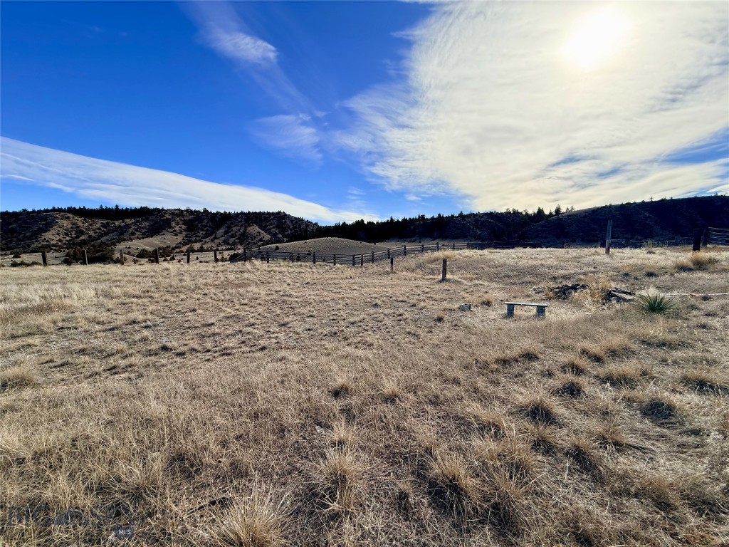 Ponderosa Pines - Land