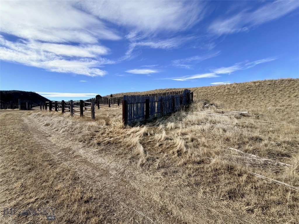 Ponderosa Pines - Land