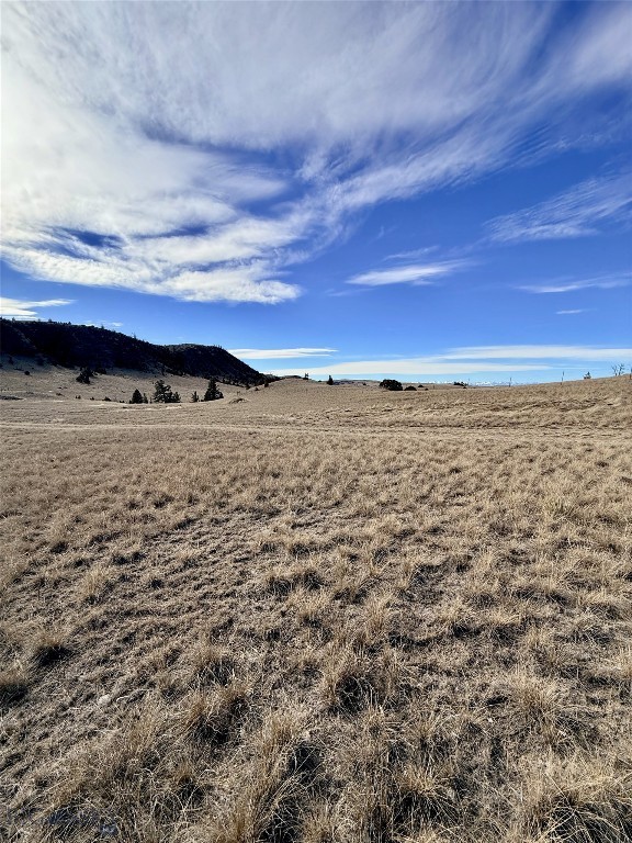 Ponderosa Pines - Land