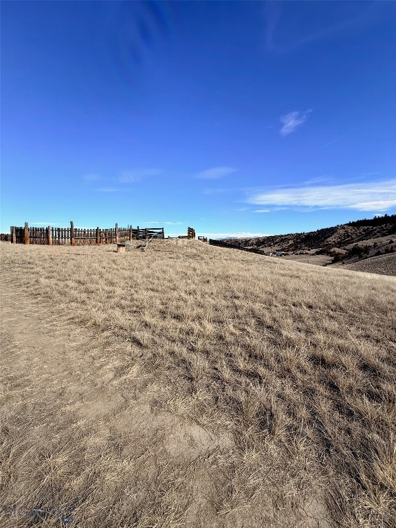 Ponderosa Pines - Land