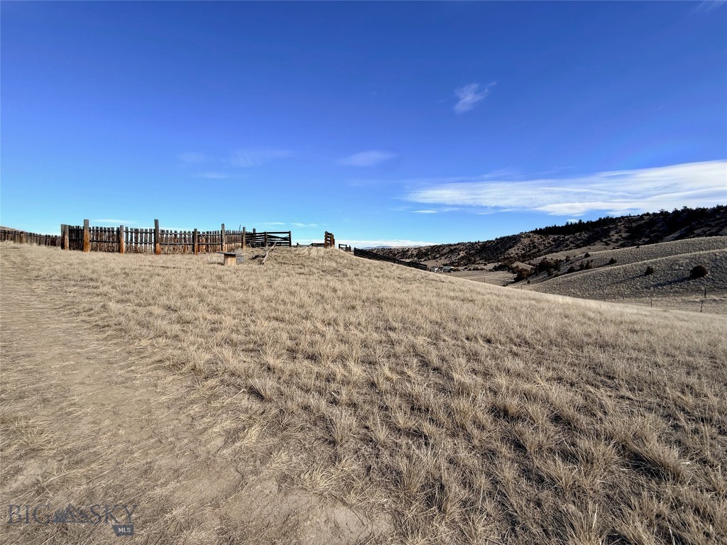 Ponderosa Pines - Land