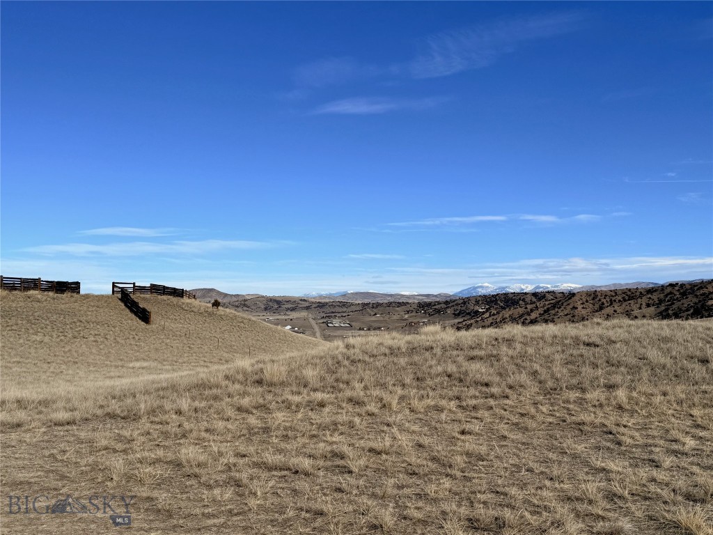 Ponderosa Pines - Land